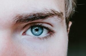 Tout savoir sur les fourmis dans les yeux fourmis dans les yeux