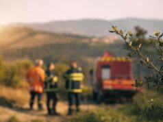 Prévention des incendies dans la Loire, comment les communes agissent vraiment
