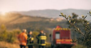 Prévention des incendies dans la Loire, comment les communes agissent vraiment